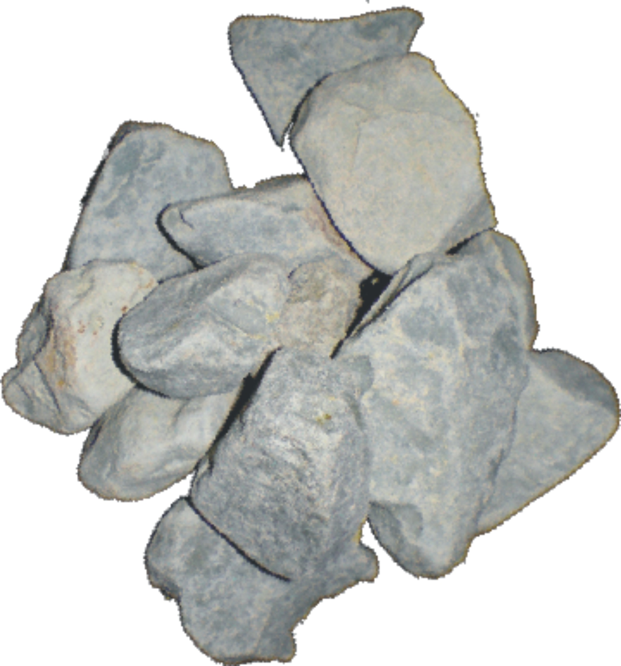 SF Zeolith 10 Ltr. Beutel