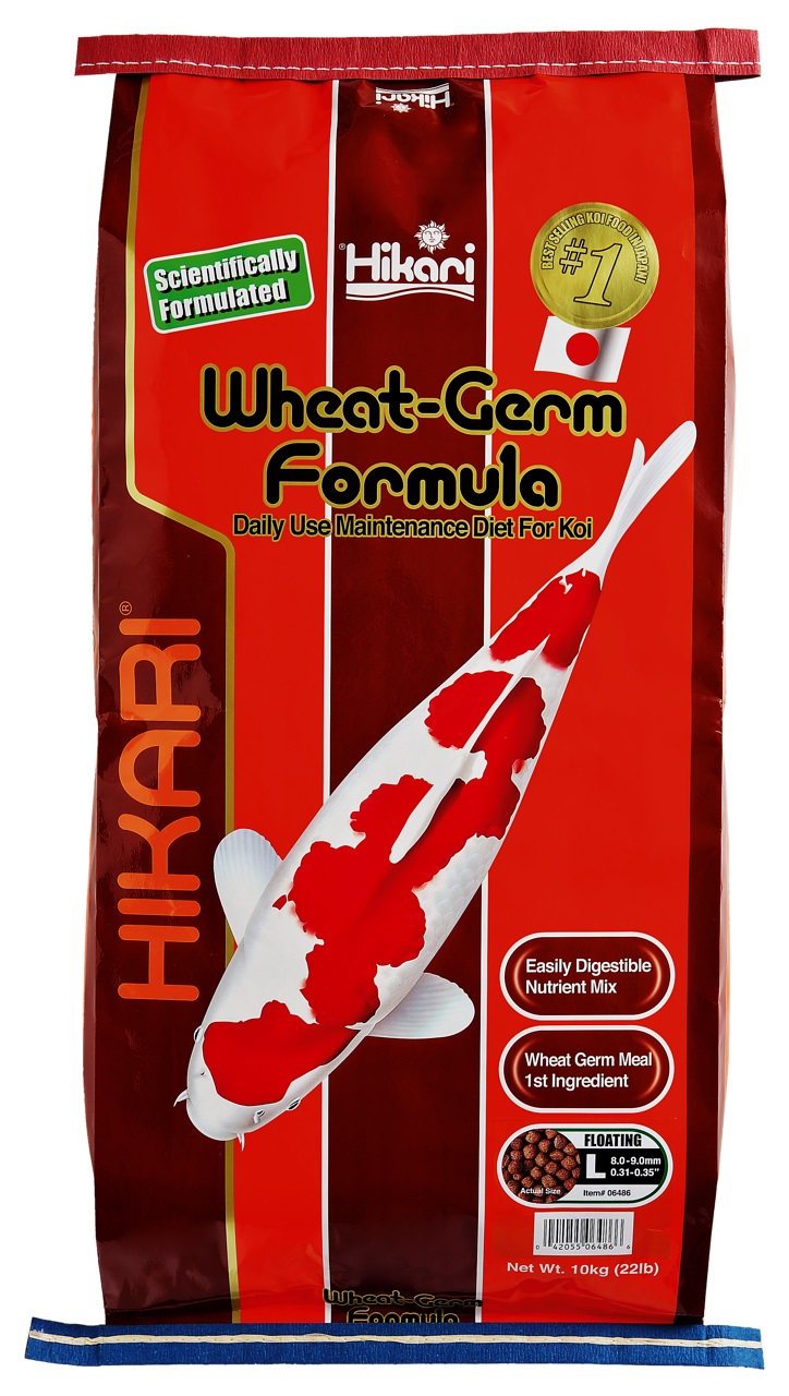 Hikari Wheat-Germ 10kg large Schwimmfutter