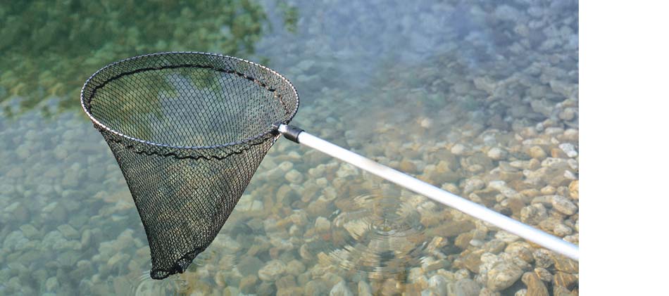 Oase Fischkescher groß, rund, 38 cm