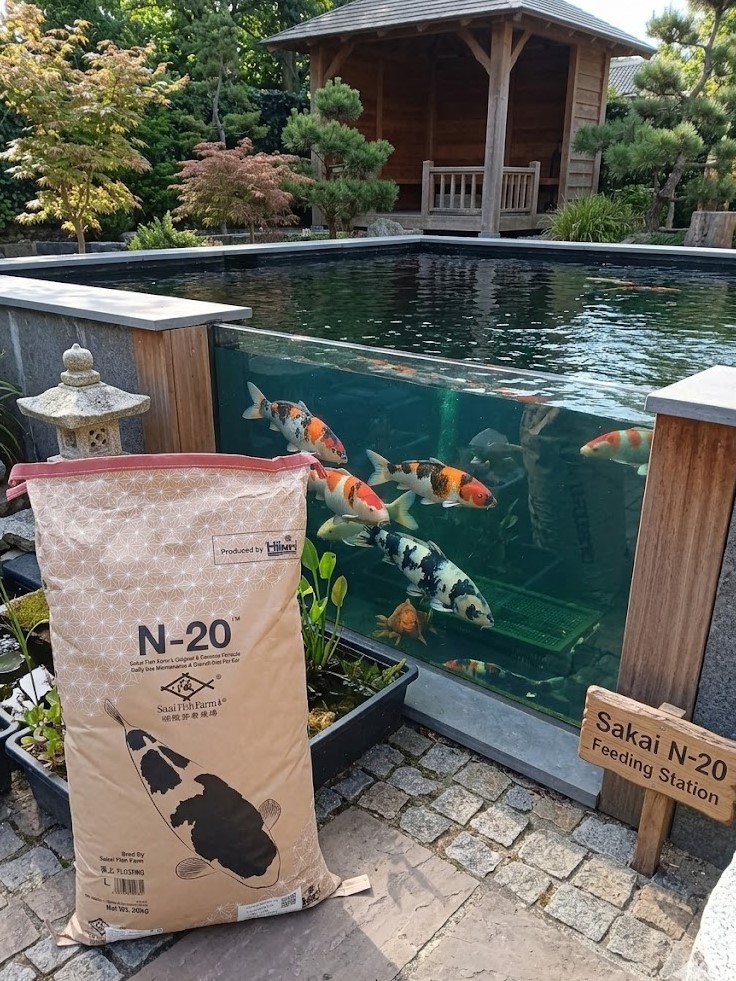 Sakai N-20 Floating L 20KG Schwimmfutter Koifutter